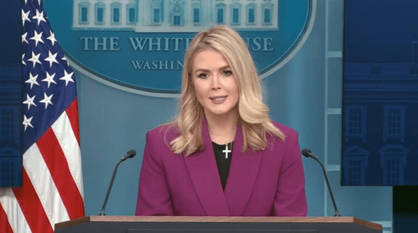 레빗 미 백악관 대변인/SNS 캡처