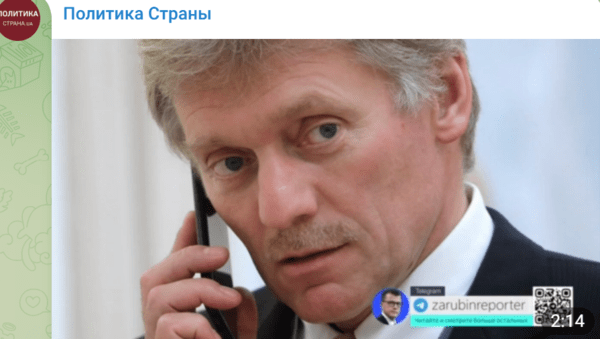 페스코프 크렘린 대변인/텔레그램 영상 캡처