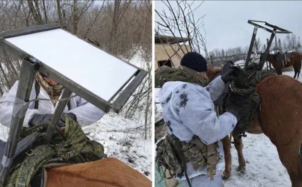 러시아 기마부대가 말안장에 스타링크 단말기를 부착한 모습/사진출처:텔레그램