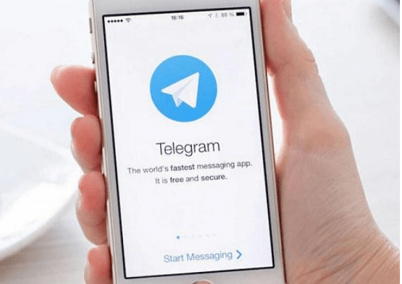 사진출처:텔레그램